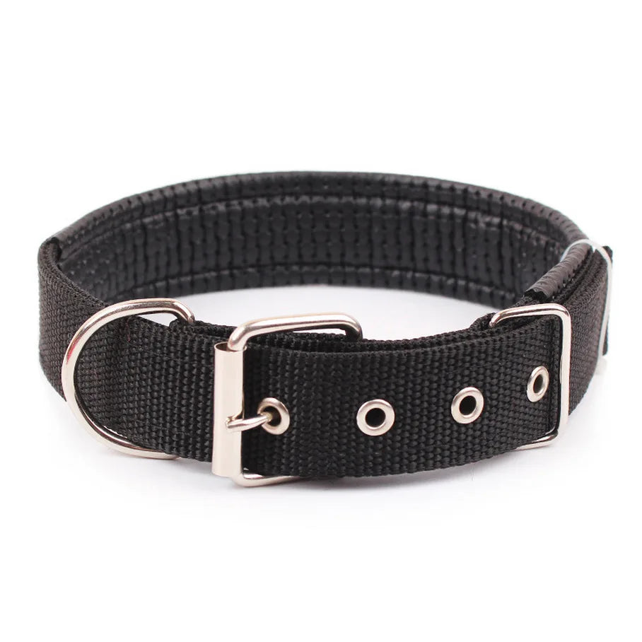 Nylon Dog Collars - MASS FABRICATIONS