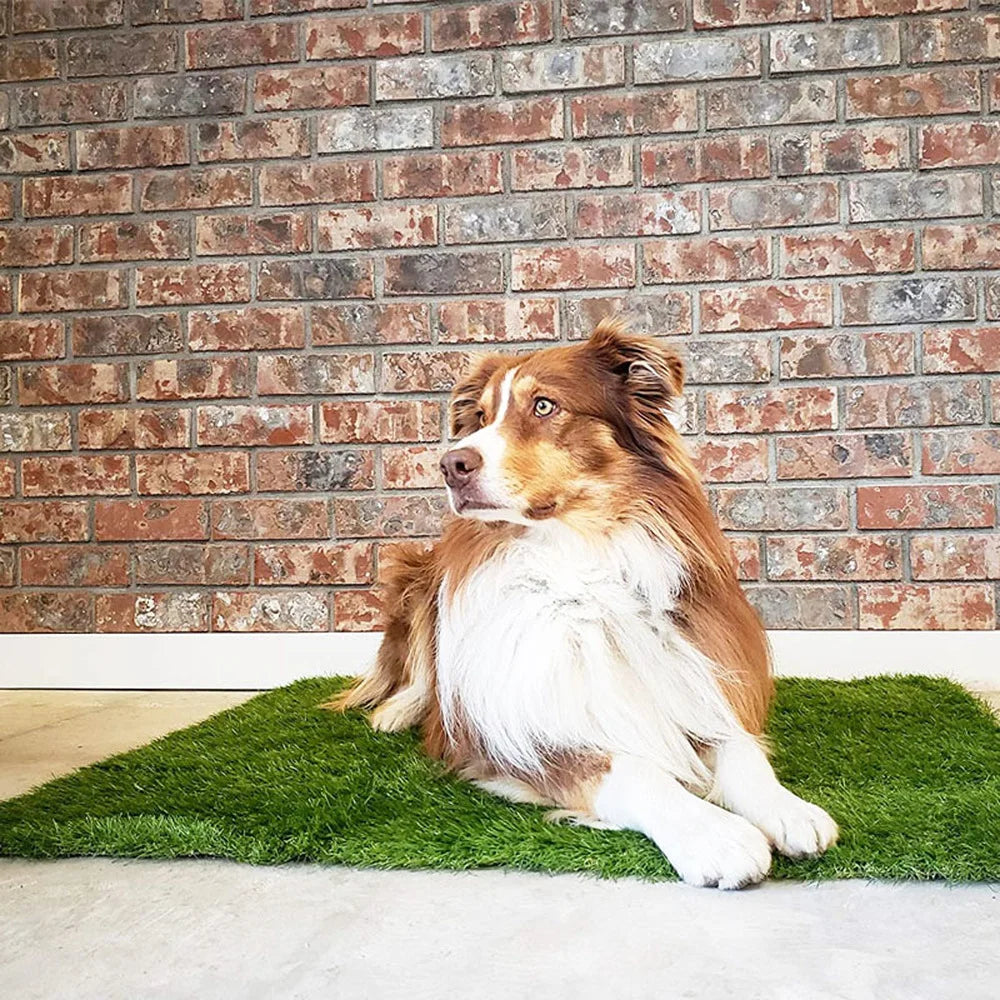 Artificial Pet Lawn Mat - MASS FABRICATIONS
