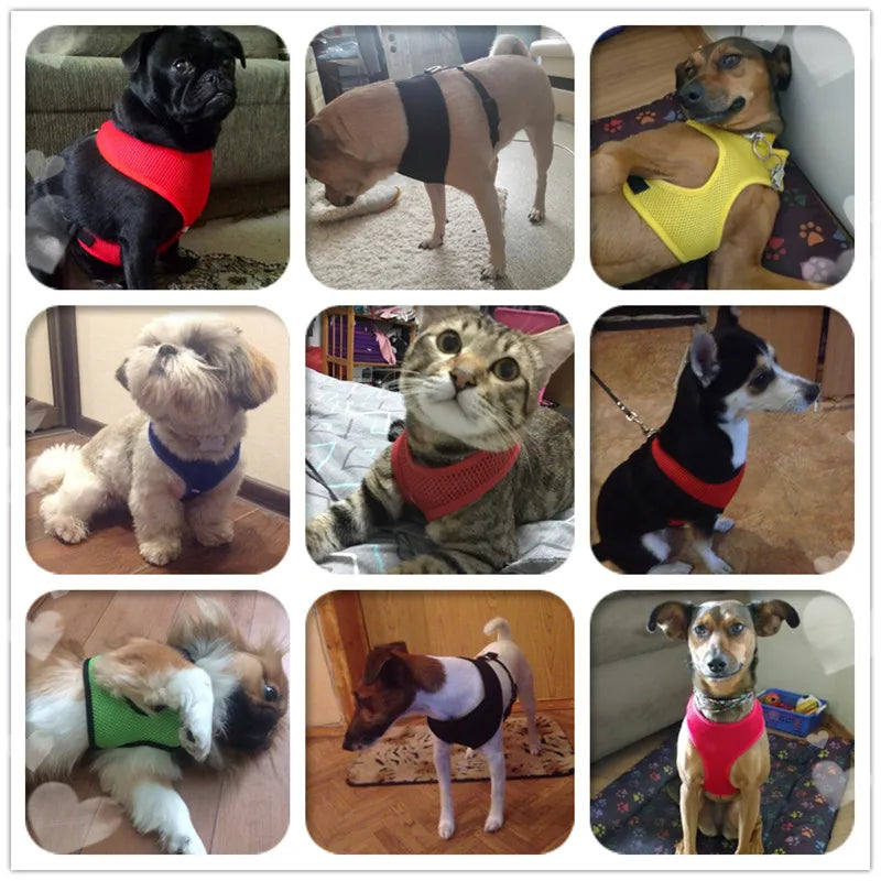 Nylon Adjustable Dog Harness - MASS FABRICATIONS