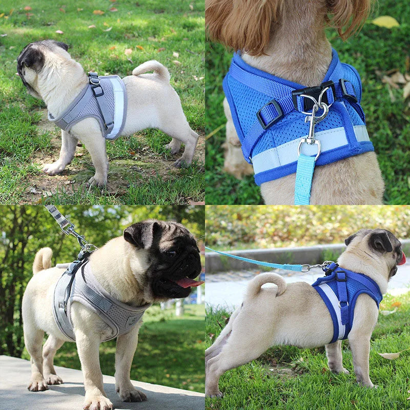 Reflective Safety Pet Dog Harness and Leash Set - MASS FABRICATIONS