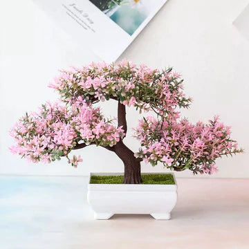 Home Decor