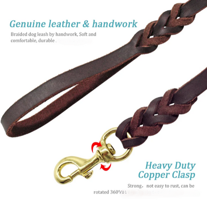 Genuine Leather Dog Leash - MASS FABRICATIONS 