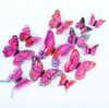 Purple Pink - Magnet image