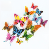 Papilio - Magnet image