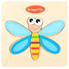 dragonfly image
