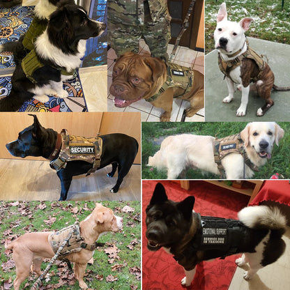 Tactical Dog Harnesses - MASS FABRICATIONS 