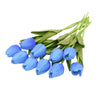 U image