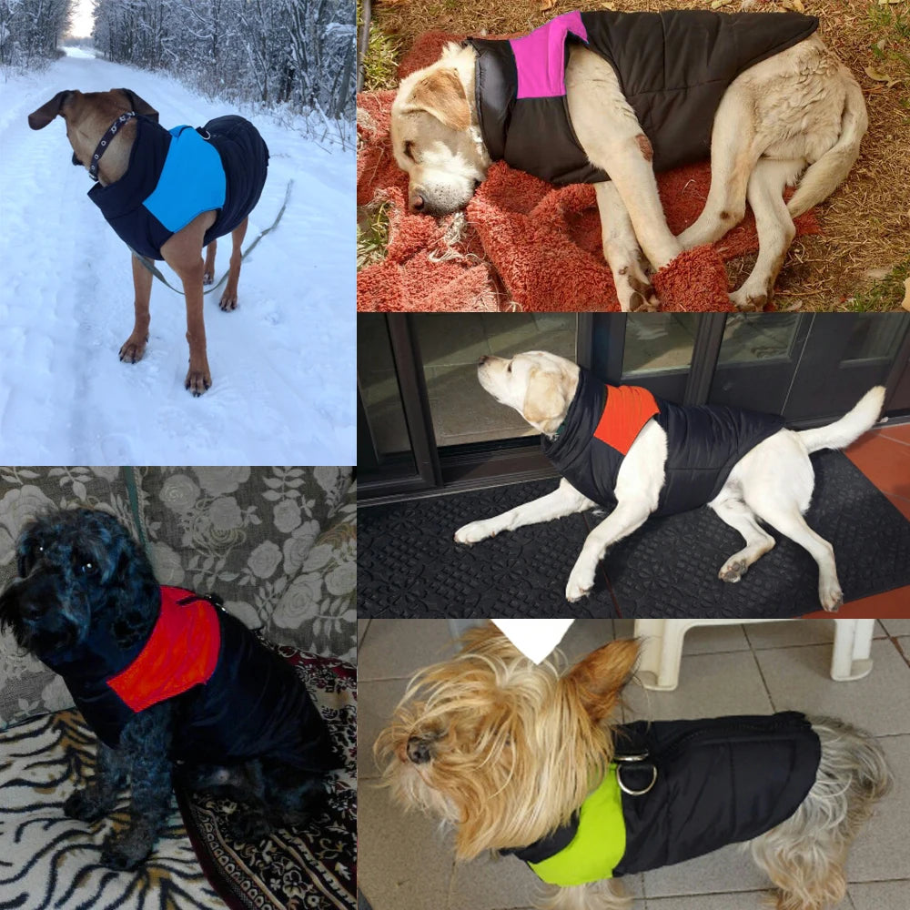 Winter Dog Vest Jacket - MASS FABRICATIONS 