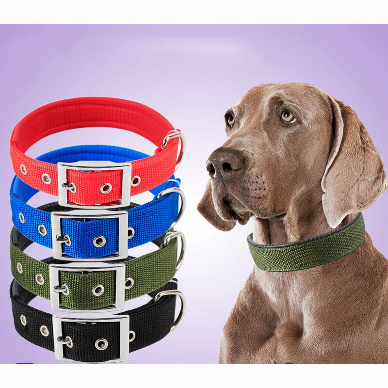 Nylon Dog Collars - MASS FABRICATIONS 