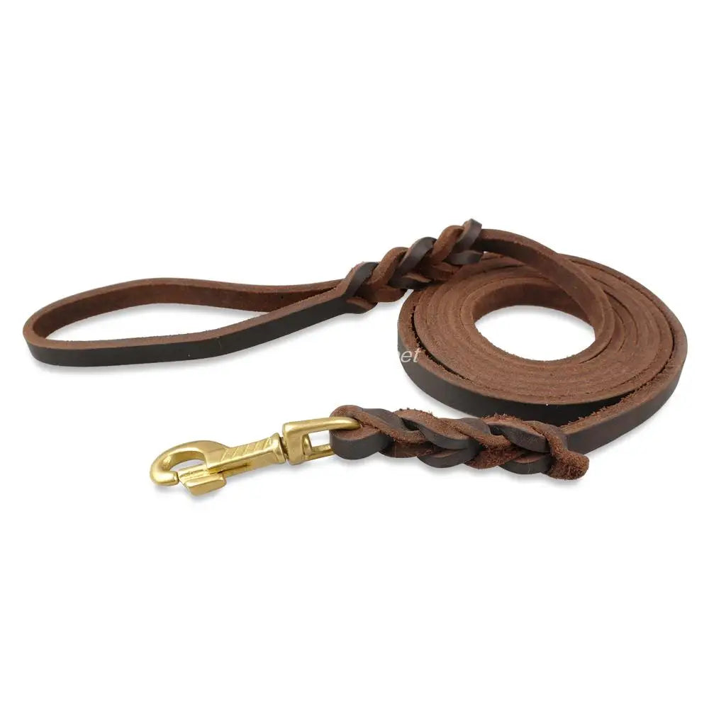 Genuine Leather Dog Leash - MASS FABRICATIONS 