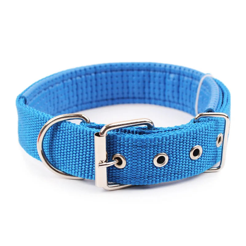 Nylon Dog Collars - MASS FABRICATIONS 