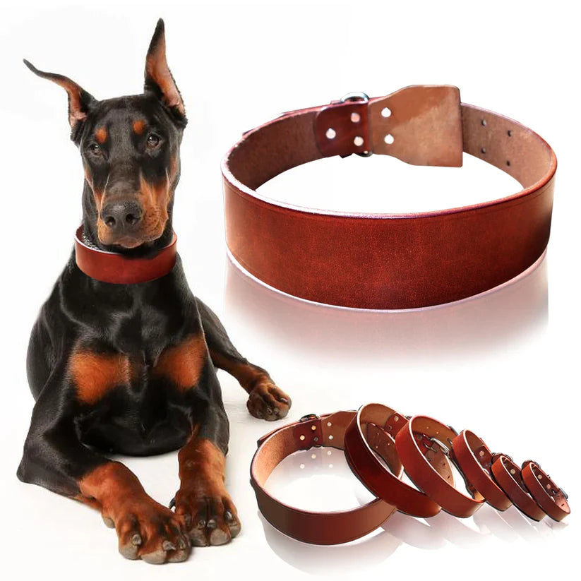 Genuine Leather Pet Dog Collars - MASS FABRICATIONS 