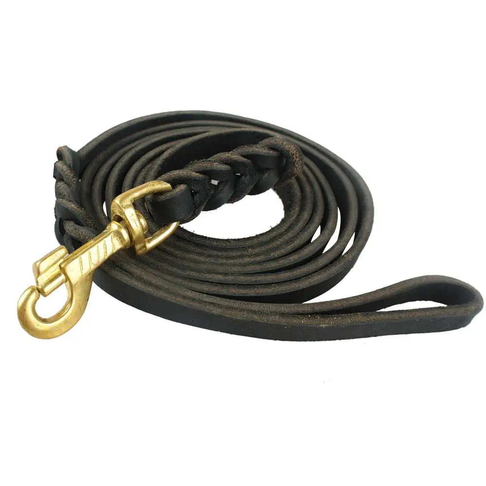 Genuine Leather Dog Leash - MASS FABRICATIONS 