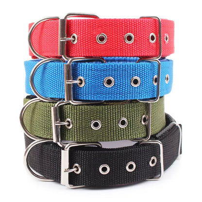 Nylon Dog Collars - MASS FABRICATIONS 