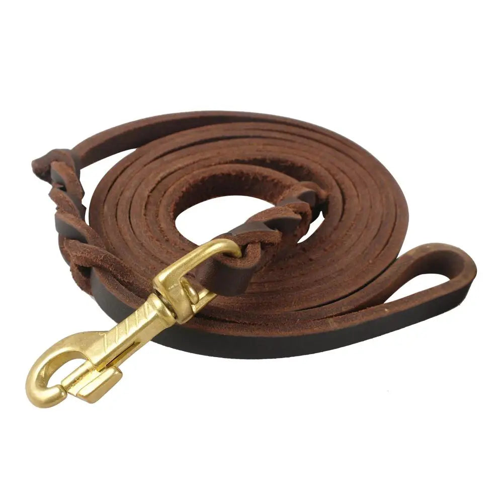 Genuine Leather Dog Leash - MASS FABRICATIONS 