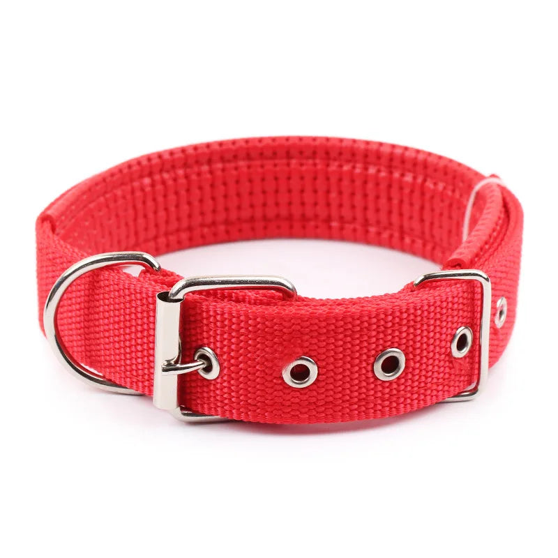 Nylon Dog Collars - MASS FABRICATIONS 