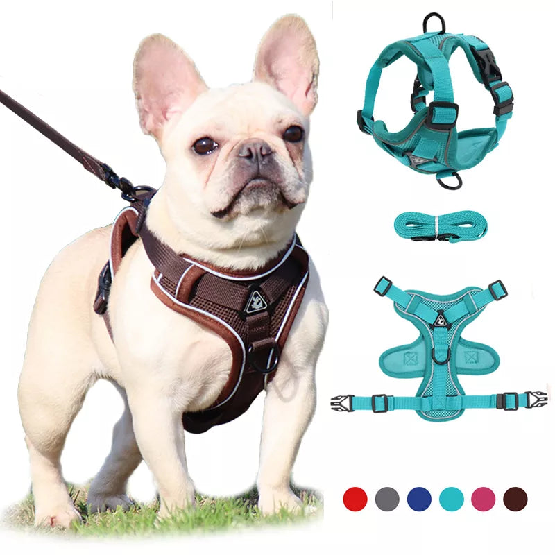 Adjustable Pet Harness Vest - MASS FABRICATIONS 