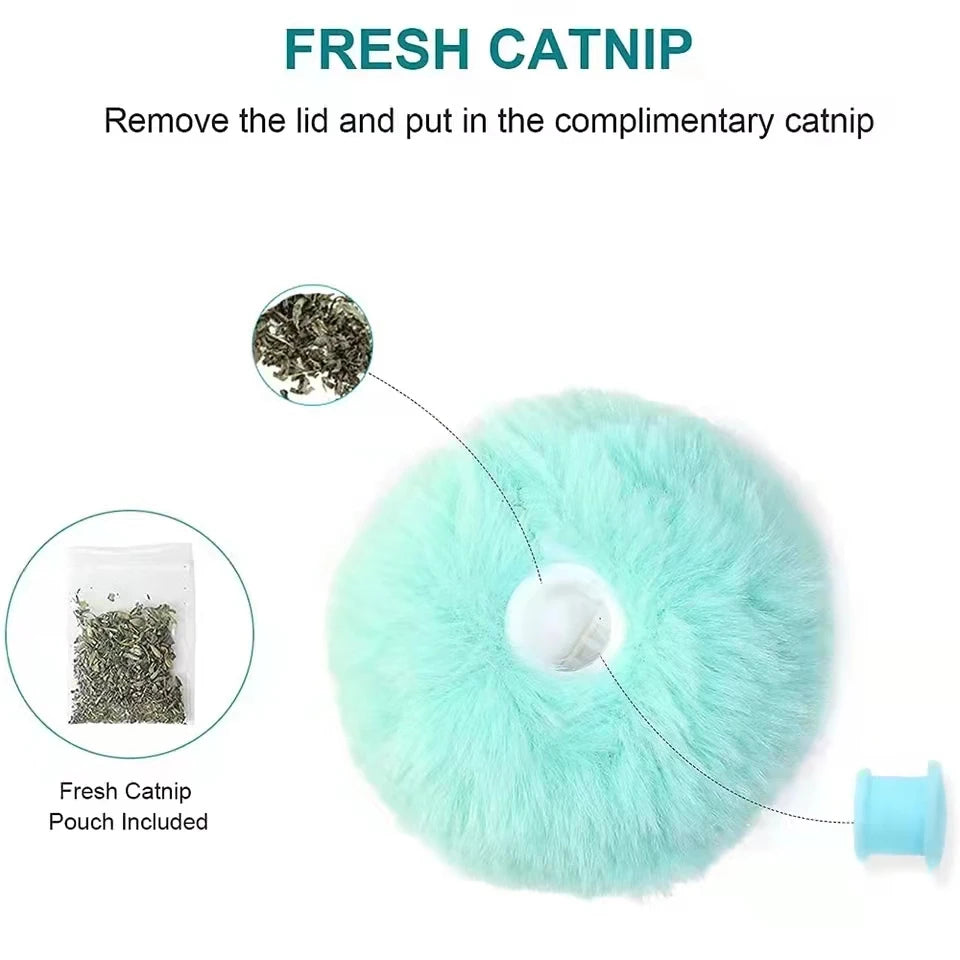 Interactive Catnip Training Toy - MASS FABRICATIONS 