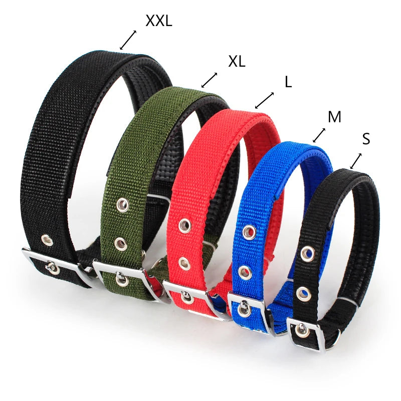 Nylon Dog Collars - MASS FABRICATIONS 