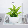 T13 image