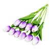 K image