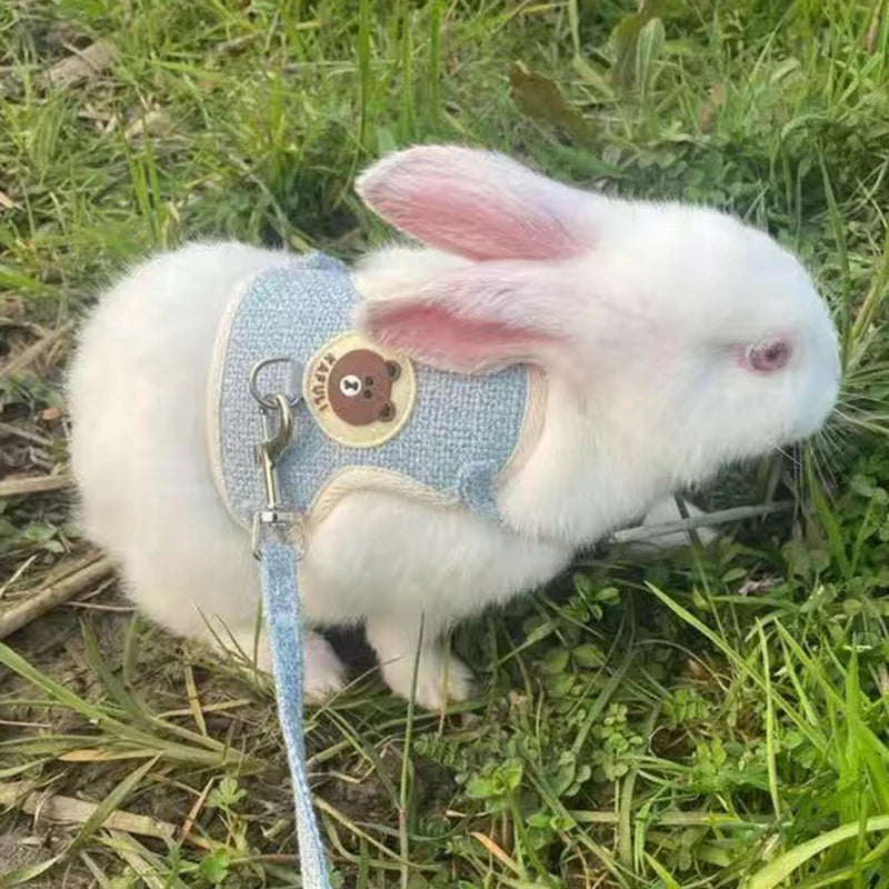 Pet Bunny / Cat Harness and Leash - MASS FABRICATIONS 