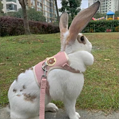 Pet Bunny / Cat Harness and Leash - MASS FABRICATIONS 