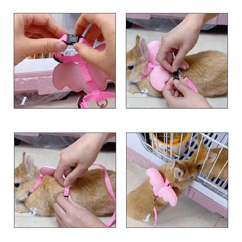 Pet Rabbit Harness and Leash - MASS FABRICATIONS 