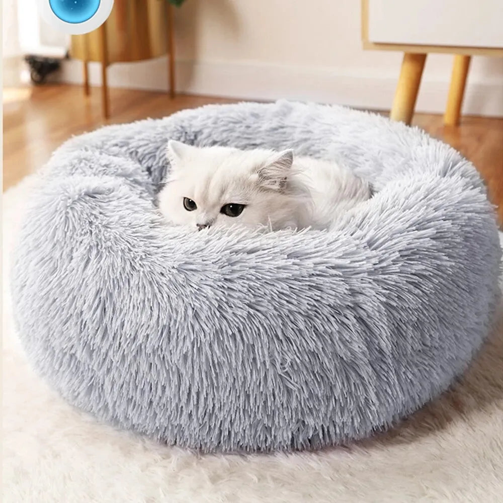 Cat/Dog Sleeping Bed - MASS FABRICATIONS 