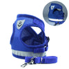Blue image