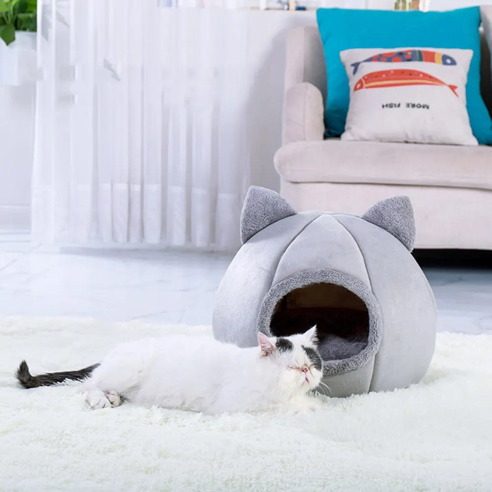 Cat Tent Bed - MASS FABRICATIONS 