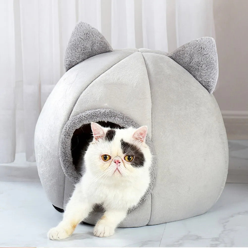 Cat Tent Bed - MASS FABRICATIONS 