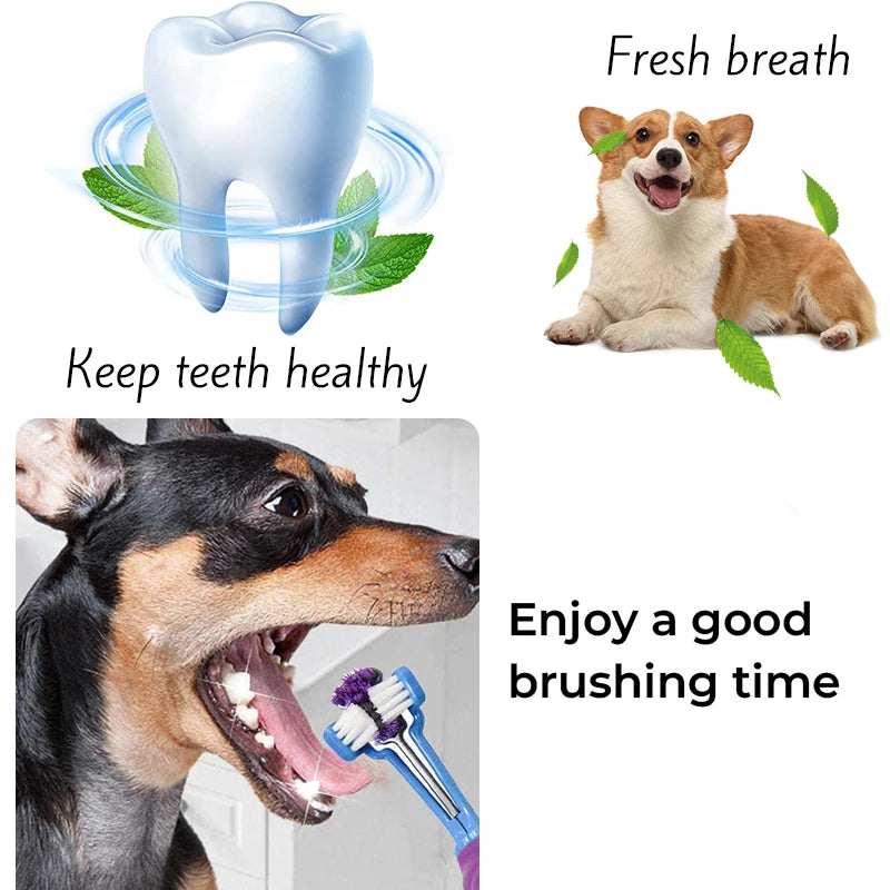 Three-Head Multi-angle Pet Toothbrush - MASS FABRICATIONS 