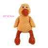 Duck image