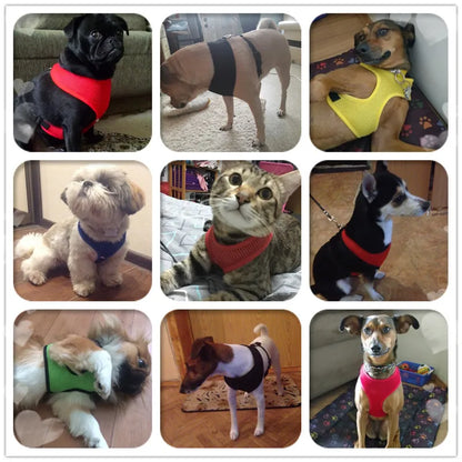 Nylon Adjustable Dog Harness - MASS FABRICATIONS 