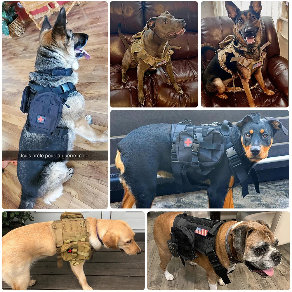 Tactical Dog Harnesses - MASS FABRICATIONS 