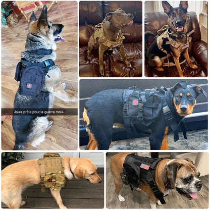 Tactical Dog Harnesses - MASS FABRICATIONS 