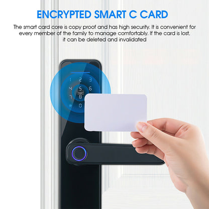 Tuya Home WiFi Smart Door Lock