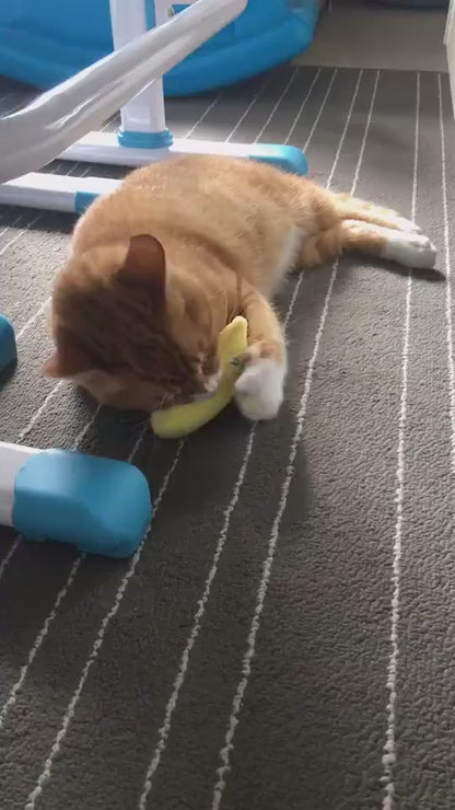 Interactive Plush Cat Toy